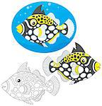 Clown triggerfish, three versions of the vector illustration in a cartoony style