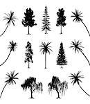 Collection of trees with roots and palms. EPS file available.