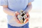 close-up of little boy hands holding two halves of clam shell in his hands during tropical vacation