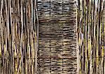 woven wooden fence of twigs of hardwood