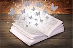 Open book with butterflies from a paper