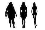 set of fat and skinny women