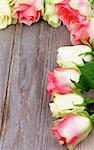 Corner Border of Beauty White-Green and Pink Roses closeup on Rustic Wooden background