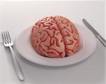 Brain in the dish. Feeding knowledge.