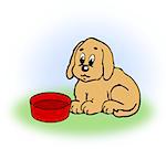 A small dog sitting at an empty food dish.