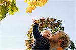 Father and son looking up at trees