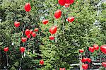 Red heart shaped balloons floating upward from park