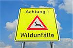 Deer Crossing Sign, Odenwald, Hesse, Germany