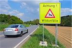 Car Passing Deer Crossing Sign, Odenwald, Hesse, Germany