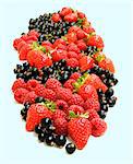 Mixed Summer Berries On White Background