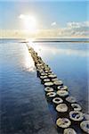 Wooden Breakwater with Sun, Prerow, Darss, Fischland-Darss-Zingst, Baltic Sea, Western Pomerania, Germany