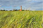 Fluegger Watt Lighthouse with Beach Grass, Summer, Baltic Island of Fehmarn, Schleswig-Holstein, Germany