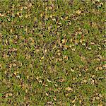 Dry Oak Leaves on Young Green Grass. Seamless Tileable Texture.