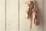 Romantic Posed Pointe Shoes in Natural Light