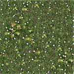 Seamless Tileable Texture of Spring Lawn with White Flowers.