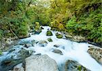 Beautiful Marian Creek feeds from the Lake Marian. The creek is located in a beautiful wild forests of Fiordland National Park, South island of New Zealand. long exposure