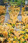 Autumn at old cemetery in Vilnius, Lithuania