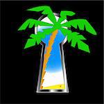 Sea tour with palm trees behind a keyhole