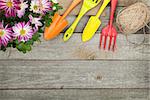 Potted flower and garden utensils on wooden table background with copy space