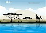 African savanna