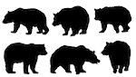 bear silhouettes on the white background