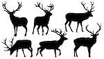 deer silhouettes on the white background