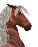 Beautiful red horse portrait with white mane background.