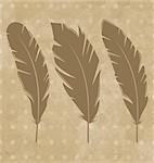 Illustration set vintage feathers on grunge background - vector