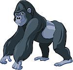 Illustration of cute cartoon gorilla
