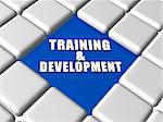 training and development - 3d white text over blue between grey boxes keyboard, business education concept