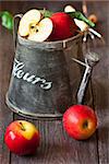 Red ripe apples and gardening tools on a wooden board in the orchard.