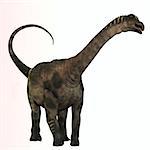 Antarctosaurus is a genus of titanosaurian sauropod from the Cretaceous Period of South Africa.