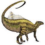 Tenontosaurus was an ornithopod herbivorous dinosaur that lived during the Cretaceous Period of North America.