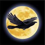 Black crow flying on the background of a moon