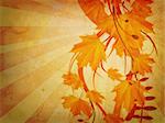 Grunge autumn floral ornament with orange maple leaves.