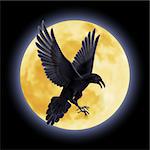 Black crow soars on the background of a full moon night