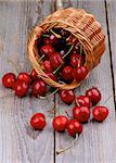 Red Sweet Cherry Scattered from Wicker Basket on Rustic Wooden background