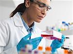 Cell biologist holding a flask containing stem cells, cultivated in red growth medium, to investigate diseases