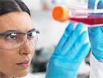 Close up of cell biologist holding a flask containing stem cells, cultivated in red growth medium, to investigate disease