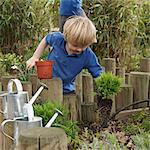 School boy removing plant from pot in garden