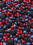 Cranberries blackberries and blueberries entire frame