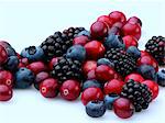 Cranberries blackberries and blueberries on a white background