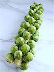 Brussels sprouts tree