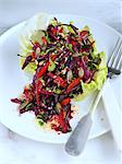 Red cabbage beetroot capsicums pine nut and seeds salad