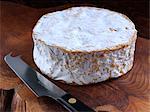 Tunworth cheese