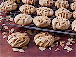 Cinnamon almond cookies