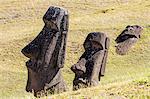 Rano Raraku, the quarry site for all moai statues on Easter Island (Isla de Pascua) (Rapa Nui), UNESCO World Heritage Site, Chile, South America