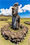 Single moai statue guards the entrance at the 15 moai restored ceremonial site of Ahu Tongariki on Easter Island (Isla de Pascua) (Rapa Nui), UNESCO World Heritage Site, Chile, South America