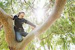 Boy hiding in sunlit tree gazing into distance