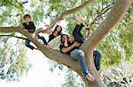 Portrait of family with two boys climbing on park tree